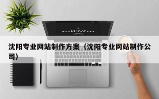 无为沈阳专业网站制作方案（沈阳专业网站制作公司）